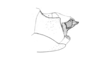 Comansacris hirsutus Ronderos & Cigliano, 1989: Fig. 22. phallic complex, lateral view. (Otu).