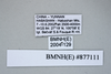 CollectionObject 1573496; aab55d8f-aa83-4620-a874-830f21dba060: Copyright NHM, London. data labels, non-type. (CollectionObject).