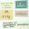 CollectionObject 1532605; 3f7a4f28-6c85-49f1-a5cd-08588ca81966: labels (holotype). (CollectionObject).