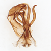 Aedeagus, ventral view on Cyclopoliarus omani (Metcalf, 1938): (Observation).