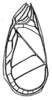 Oecanthus pictipes Rehn, 1917: Pl. 3, Fig. 20 (ater type). male tegmen, dorsal field (length 7.2 mm, greatest width 3.5 mm). (Otu).