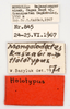 labels (holotype). Depicts CollectionObject 1475599; c97e7739-249b-4dae-bf76-d02f6a7dd1c7, a CollectionObject.