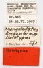 CollectionObject 1475599; c97e7739-249b-4dae-bf76-d02f6a7dd1c7: labels (holotype). (CollectionObject).