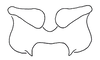 Zoniopoda omnicolor (Blanchard, 1843): Fig. 3B. epiphallus, dorsal view. (Otu).