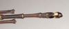CollectionObject 1559451; NHMUK(SF IMPORT DUPLICATE) 844623-626, 3634f3ca-e221-45d4-984f-9b63a255aa78: copyright Natural History Museum, London. male: end of abdomen, ventral view (syntype). (CollectionObject).