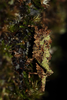 CollectionObject 1571800; 98e8a346-6dc6-445c-a216-2b0abb9a4111: (CollectionObject).