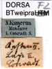 CollectionObject 1501751; 463a16de-6527-4751-80eb-c5d3c390e73c: labels. (CollectionObject).