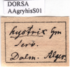 CollectionObject 1538342; e7696480-78dc-4713-93af-1855f35e8e3d, DORSA AAgryhisS01: labels. (CollectionObject).