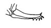Ceuthophilus (Geotettix) nodulosus Brunner von Wattenwyl, 1888: Fig. 183. ovipositor (female from Manhattan, KS). (Otu).