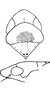 Head on Eurhadina (Singhardina) robusta (Mahmood, 1967): Head, pro-, and mesothorax. (Observation).