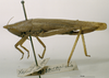 CollectionObject 1503296; MBBJ 3226000, 3597c175-aefb-414b-99db-49f52181129f: female, lateral view. (CollectionObject).