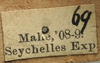 label (paralectotype). Depicts CollectionObject 1535998; 4cbcc000-5f9e-45f2-baaf-5eefb7a75383, a CollectionObject.