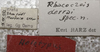 CollectionObject 1505834; a49006d4-9c2c-464f-9172-da8fd6f845e0: labels (holotype). (CollectionObject).