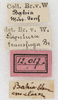 labels. Depicts CollectionObject 1532997; NMW 12.017, 8dc4623e-3075-4d67-8232-cf5d8748c17f, a CollectionObject.