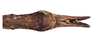 CollectionObject 1597513; 90633801-520e-4fd7-9651-496c8c2bdc45, QIMR T250909: copyright QM. male: end of abdomen, ventral view (paratype). (CollectionObject).