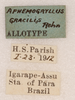 CollectionObject 1585678; be61275c-c5eb-49d7-8d39-9f2516d73c48: labels (allotype). (CollectionObject).