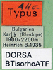 CollectionObject 1501843; 2819906c-3210-4edf-91ca-39b24546d431: labels (allotype). (CollectionObject).