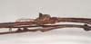 CollectionObject 1558589; a45cfd83-a497-4a20-9695-2ba15312282d: copyright Natural History Museum, London. female: head, lateral view (paratype). (CollectionObject).