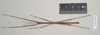 CollectionObject 1559715; NHMUK(SF IMPORT DUPLICATE) 844976, fc611e7c-1f7f-4846-a06a-ddc9ef3901e1: copyright Natural History Museum, London. male (paratype). (CollectionObject).