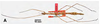CollectionObject 1606367; a2aa56e7-d4d1-49c2-af23-1420ed617b19: (CollectionObject).