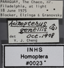 Other: !! display not done !! on Acinopterus gentilis (Berg, 1879): Labels. (Observation).