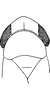 Head: Head and thorax (male). (Observation).