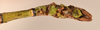 CollectionObject 1558907; befd21c5-dcfc-4676-97a0-634fd379bff4: copyright OUMNH. male: end of abdomen, dorsal view of synonym Haplopus cythereus (lectotype). (CollectionObject).