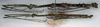 Pseudonogastris aculeata (Redtenbacher, 1906): copyright NMW. male and female, lateral view (syntypes). (Otu).