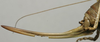 CollectionObject 1536028; 74c86dc8-69b4-42d2-8bcb-2f1b10df4e5b: female ovipositor (syntype). (CollectionObject).
