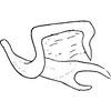 Anal tube processes: Anal tube process. (Observation).