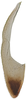 Ovipositor on Arboridia (Arboridia) huajiangensis Jiang, Luo & Song, 2021: valvula III. (Observation).
