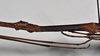 CollectionObject 1558576; NTUC 709 and barcoded specimens, 93d36653-c881-422a-9af7-b37747fc2d15: copyright NTUC. male: head and thorax, lateral view of Entoria miyakoensis (syntype). (CollectionObject).