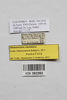 CollectionObject 1573616; ec820636-56b1-4002-8518-9ec164e166a1: female, data labels (paratype). (CollectionObject).;CollectionObject 1573617; 09ead462-e128-4fd4-a9ea-f82bdfbb5955: female, data labels (paratype). (CollectionObject).