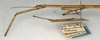 CollectionObject 1561111; NMW 562, c8c289c5-6eeb-4377-9154-e7622fc126bd: copyright NMW, Vienna. male: head and thorax, lateral view (paralectotype). (CollectionObject).
