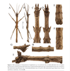 CollectionObject 2211439; SICAUSICAHN 23012, 8adeb25f-653f-4bef-b8f9-1d109de22393: copyright SICAU. male (paratype). (CollectionObject).