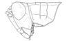 Dichroplus schulzi Bruner, 1906: Fig. 1. male, head and pronotum, lateral view. (Otu).