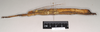 CollectionObject 1563046; 249af9de-89b5-4f87-896d-32fe89bf2e2c: copyright Natural History Museum, London. female. lateral view (paratype). (CollectionObject).;CollectionObject 1563047; 90a510f9-0544-463a-908a-75f3af89a640: copyright Natural History Museum, London. female. lateral view (paratype). (CollectionObject).;CollectionObject 1563048; aadcb565-85d8-4fca-b0ca-4c228a6069cb: copyright Natural History Museum, London. female. lateral view (paratype). (CollectionObject).