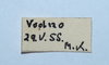 CollectionObject 1593776; 79199064-e0bb-43f5-917d-e3d40cdc5df5: labels (type of Pararcyptera microptera macedonica?). (CollectionObject).
