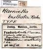 CollectionObject 1500321; 28d151bd-3ffe-4de3-ab01-71a473359e6c: labels (holotype). (CollectionObject).