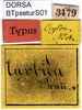 CollectionObject 1500712; b1f2604c-eaea-4aa2-848a-c20ab47707e8: male labels (syntype). (CollectionObject).