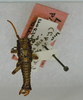 CollectionObject 1562223; 7ace6ad5-77ad-4f10-aa6e-cb0948f8a92c: copyright ANSP. male (holotype). (CollectionObject).