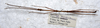 Carausius tanahrataensis Seow-Choen, 2000: copyright LKCNHM, Singapore. male, dorsal view (paratype). (Otu).