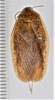 CollectionObject 1552899; 6c648c45-021f-4971-a0df-4807cf213542: (CollectionObject).