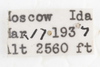 Other on Cixius (Pseudocixius) praecox Van Duzee, 1925: (Observation).