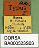 labels (allotype). Depicts CollectionObject 1576333; 790880c3-be0c-4c5e-8d2b-144bc2b3b50a, a CollectionObject.