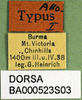 CollectionObject 1576333; 790880c3-be0c-4c5e-8d2b-144bc2b3b50a, DORSA BA000523S03: labels (allotype). (CollectionObject).