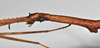 CollectionObject 1558581; 5094e634-967d-4141-83cf-733a7e174ce9: copyright NTUC. female: head and thorax, lateral view (syntype). (CollectionObject).;CollectionObject 1558582; 20db8149-d18d-4462-8167-11f604b61075: copyright NTUC. female: head and thorax, lateral view (syntype). (CollectionObject).