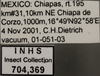 Other on Dalbulus longulus DeLong, 1950: Labels. (Observation).