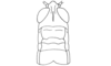 Hydnosternacris valdiviensis Amédégnato & Descamps, 1978: Fig. 68. male head and pronotum, dorsal view. (Otu).