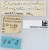 CollectionObject 1579152; f7e90377-e3f4-483f-b102-cd6bcb697e78: labels. (CollectionObject).